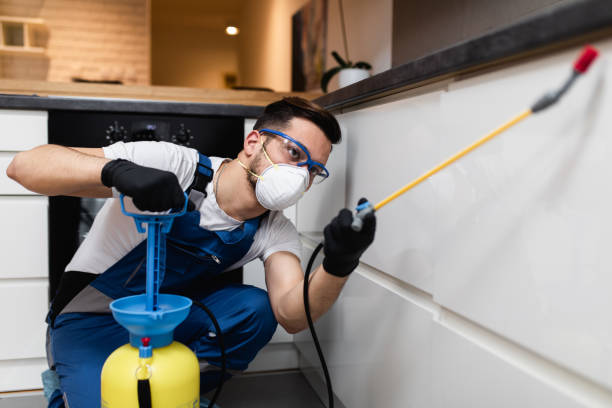 Professional Pest Control in Pine Level, NC
