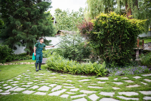 Best Mosquito Control Services  in Pine Level, NC