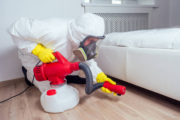 Best Local Pest Control Services  in Pine Level, NC