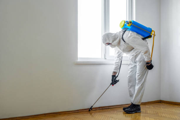 Best Cockroach Control Services  in Pine Level, NC