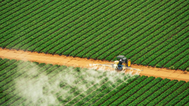 Best Pest Prevention Services  in Pine Level, NC