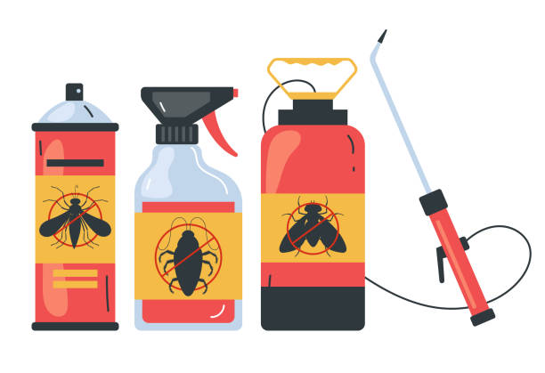 Best Ant Control Services  in Pine Level, NC