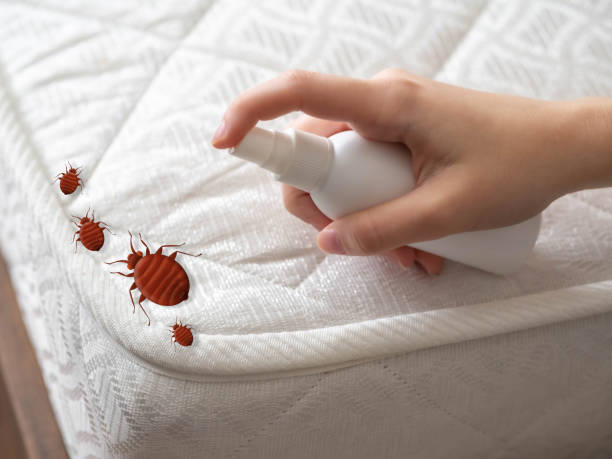 Best Affordable Pest Control Services  in Pine Level, NC